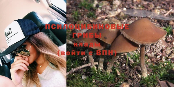 крисы Михайловск